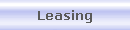 Leasing